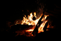 IMG_1850